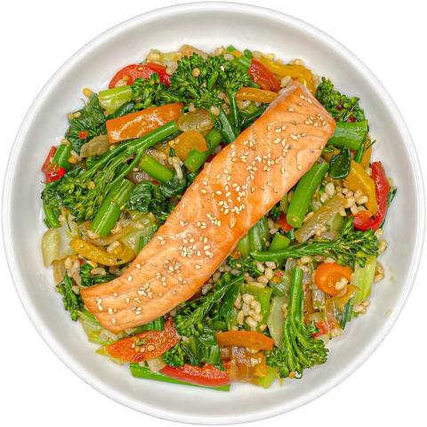 Teriyaki Salmon Bowl